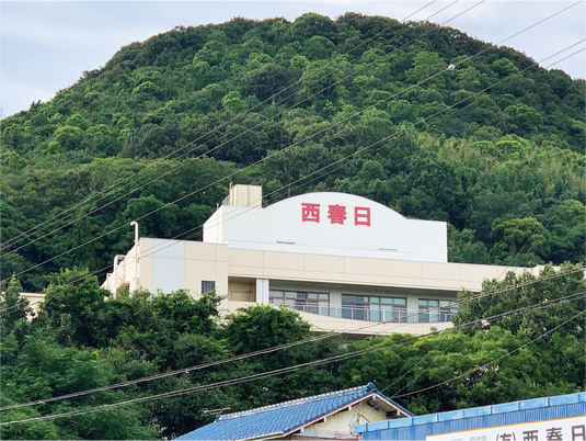 緑に囲まれた建物