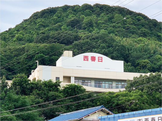 緑に囲まれた建物