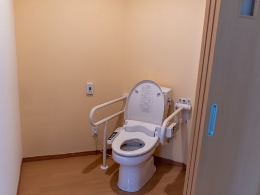 手すり付き清潔なトイレ