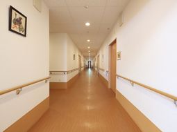 廊下の明るい空間