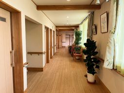 木の温もり溢れる廊下の風景