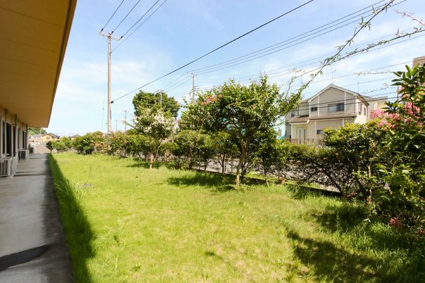 緑豊かな中庭風景