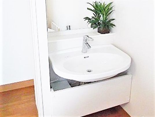 洗面所の清潔な洗面台