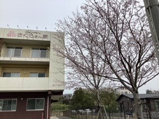 建物外観と桜並木  