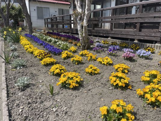 色とりどりの花が咲く庭