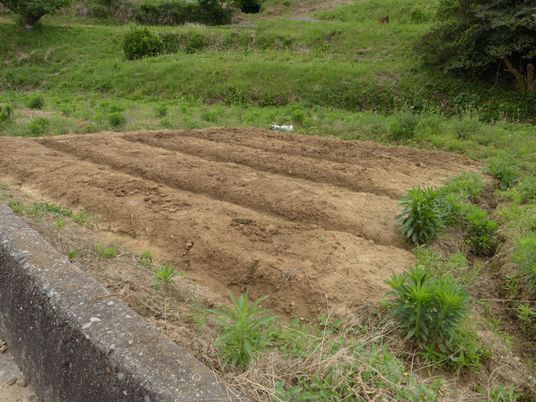 畑の土を耕した土地