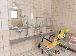 浴室の手すりと洗面台