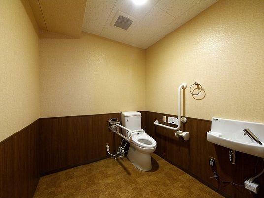 施設の写真 トイレは広く、可動式の手すりとエル字型の手すりが付き、手洗い場も付いている。