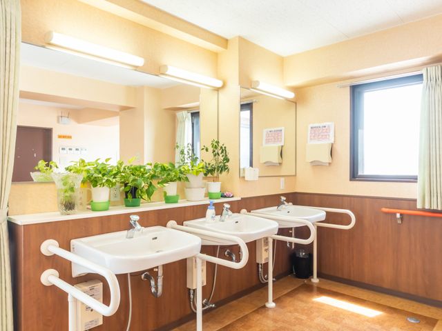 明るい洗面エリア 洗面台 明るく清潔な洗面スペースです。植物が配置され、リラックスした雰囲気を提供しています。
