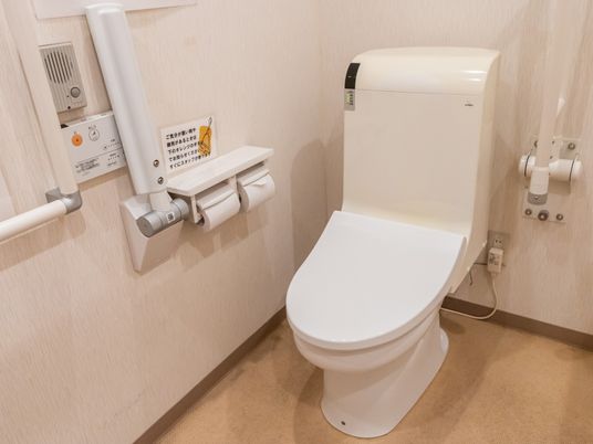 手すり付きトイレ  