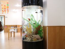 円柱形の水槽と廊下