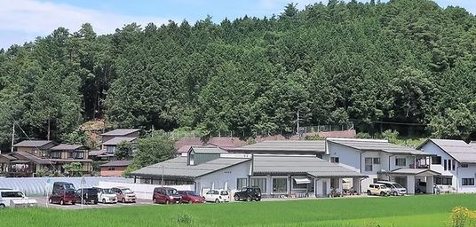 緑に囲まれた建物