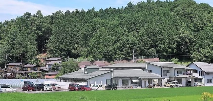 緑に囲まれた建物