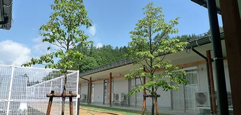 自然に囲まれた外観