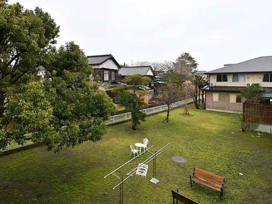 緑豊かな中庭