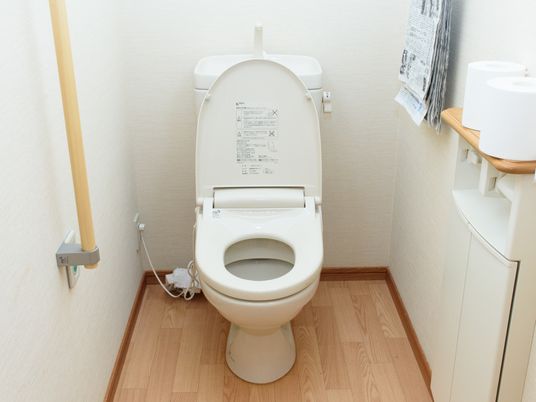 手すり付き清潔なトイレ