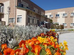 中庭の彩り豊かな植栽