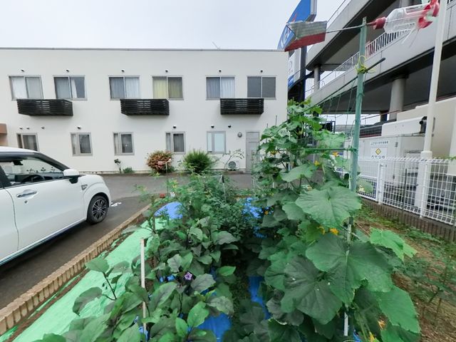 白い建物の外観 シニアライフ 清潔感あふれる白い建物の外観。緑の植物が彩りを添え、訪れる人々を明るく迎えます。