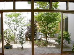窓越しに見える庭園