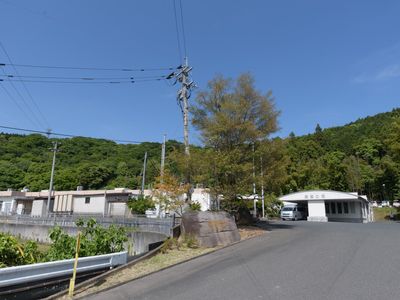 緑豊かな地域の外観