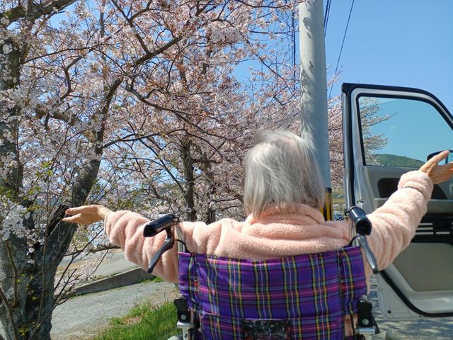 桜の下でくつろぐ利用者の後ろ姿 中庭 利用者が心地よい春の日差しを浴びながら桜を愛でる、ゆったりとした時間をサポートするお仕事です。