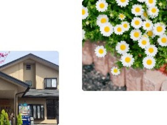 建物の外観  
