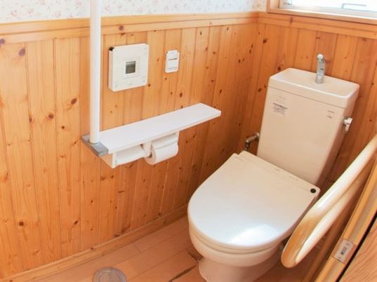 手すり付きのトイレ。車いすでも乗り入れ可能なフラットフロアとなっていて操作パネルが壁についている。