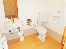 手すり付きの洗練されたトイレ