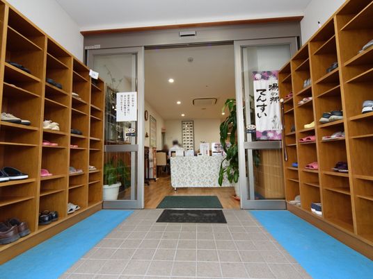 玄関に靴棚と植物がある風景