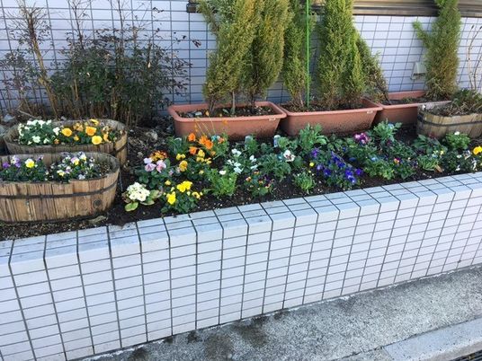 花壇のある庭  
