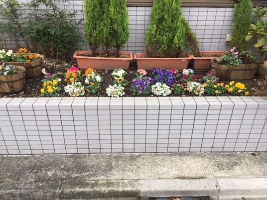 花壇のある庭  