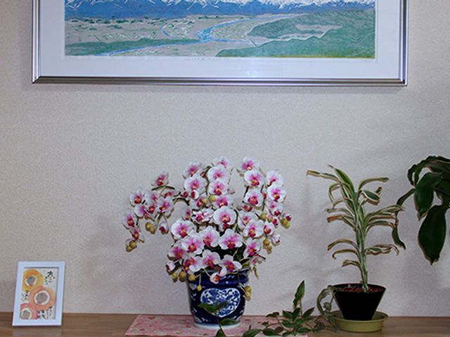 花と絵画が飾られた棚 内観 色鮮やかな花や絵画が飾られ、心を和ませる空間です。自然を感じられるインテリアが特徴です。