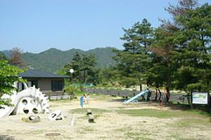自然豊かな庭