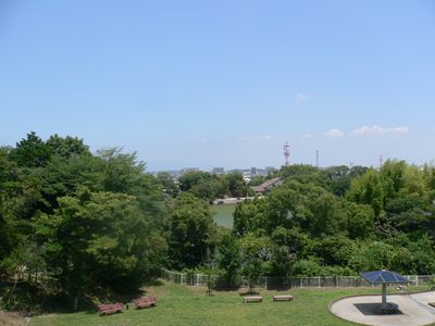 緑豊かな中庭風景
