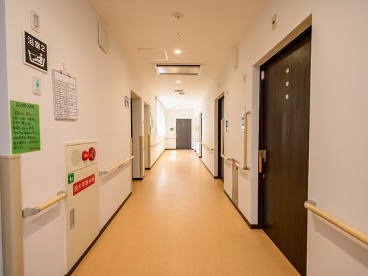清潔な廊下の様子