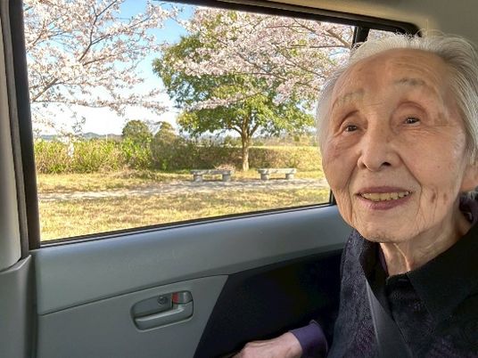 外の桜を眺める様子
