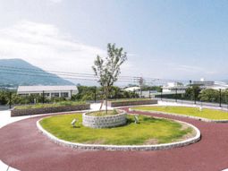 緑豊かな中庭の景色