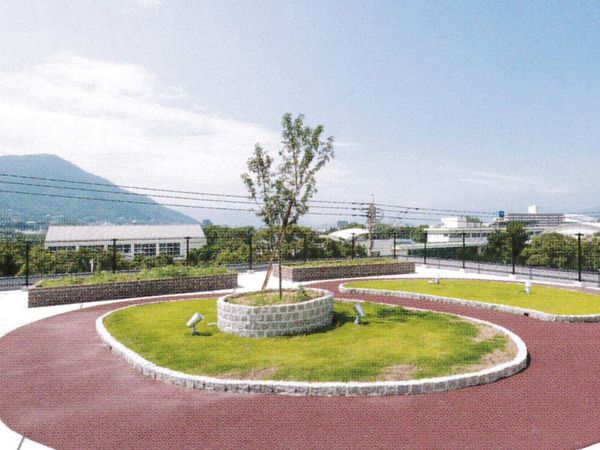 緑豊かな中庭の景色