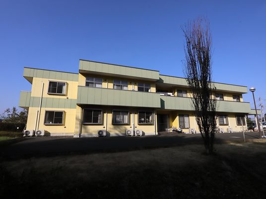 黄緑色の建物外観