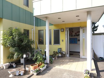 エントランスと植物