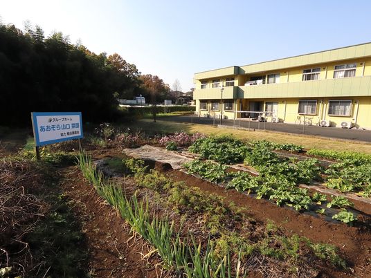 中庭の緑と建物