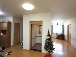 広々リビングとクリスマスツリー