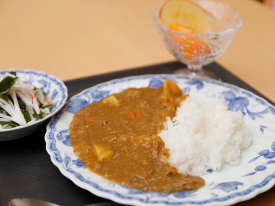 和風デザインの食事皿