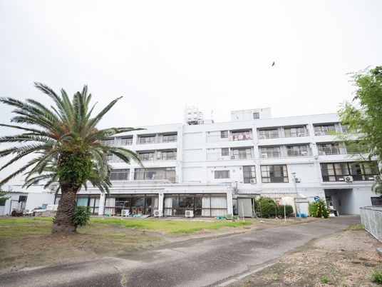 白い建物とヤシの木