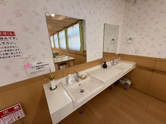 清潔な洗面台