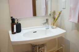 清潔な洗面台と花