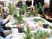 多世代が植物を扱う様子