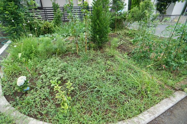 緑豊かな中庭景観