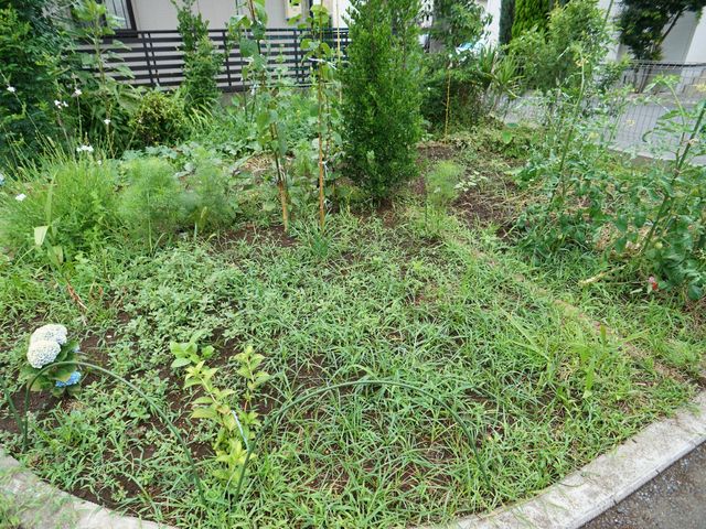 緑豊かな中庭景観 園芸スペース 自然に囲まれた心安らぐ中庭です。ここで園芸の時間を楽しむなど、日々の癒しを感じられます。