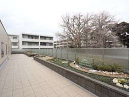 中庭の明るい景色